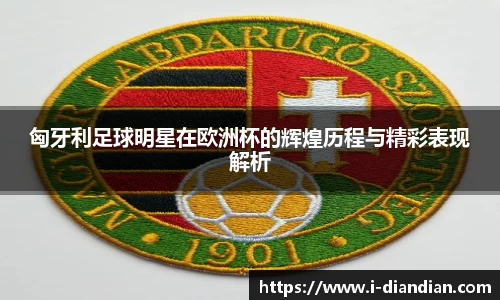 匈牙利足球明星在欧洲杯的辉煌历程与精彩表现解析